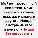 ���� ��������, ���������, 53 ���� - ��������� 21 ���� 2022 � ������ ���� ����������