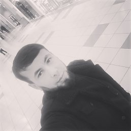 ���� ������, �����, 33 ���� - ��������� 8 ������� 2023