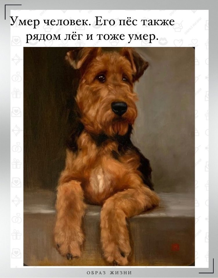 Умер человек. Его пёс также рядом лёг и тоже умер. И вот душа человека стоит перед золотыми вратами ...