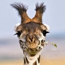 ���� �����, ������� - ��������� 7 ������� 2022 � ������ ���� ����������