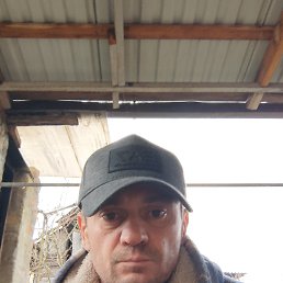 , 37, 