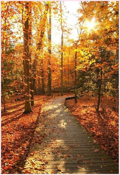 Handmade Club |  .y - 6