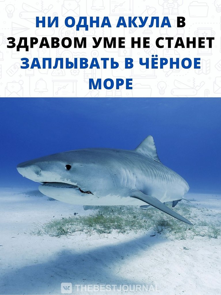    ,     ,            ...