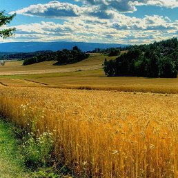 ���� ����, �������, 62 ���� - ��������� 23 ������ 2022