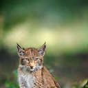 ���� Marlen, ����������� - ��������� 31 ���� 2022 � ������ ������ ��������