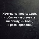  , , 46  -  8  2023     .
