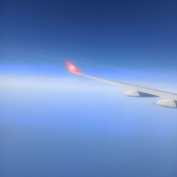 ���� ����, �����, 44 ���� - ��������� 8 ���� 2022