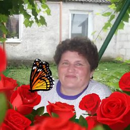 ���� �����, �����-���������, 68 ��� - ��������� 26 ������ 2023