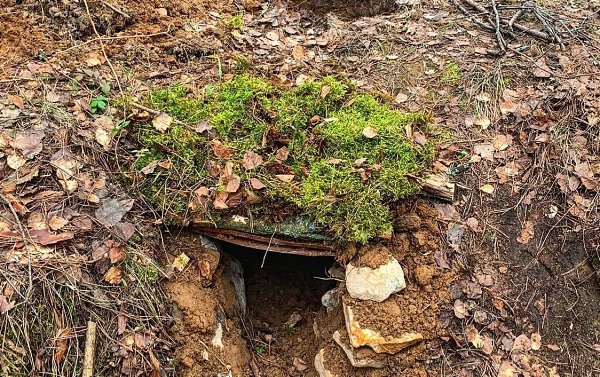 Погодка на днях стояла ну просто улёт Решил провести это время на природе, спешу поделиться этим с ... - 3