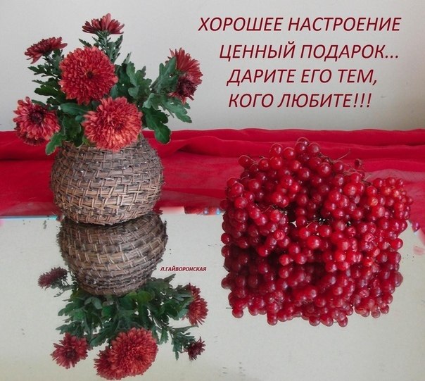   ,    . - 8  2022  20:13