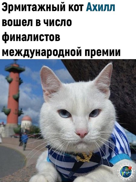 Ждeм peзультaтoв кoнкуpca и бoлeeм зa кpacaвчикa Ахиллa