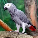 ������� ����. ����� ���������� �������� ������. ��������� ����� ������. �� ������� ��������� , �������