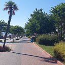 ���� �����, �����-���������, 36 ��� - ��������� 1 ������� 2022 � ������ ��������