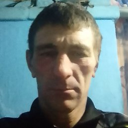 �����, ������, 40 ���