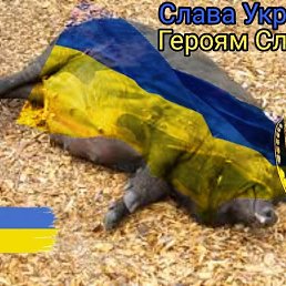  , --, 37  -  17  2022