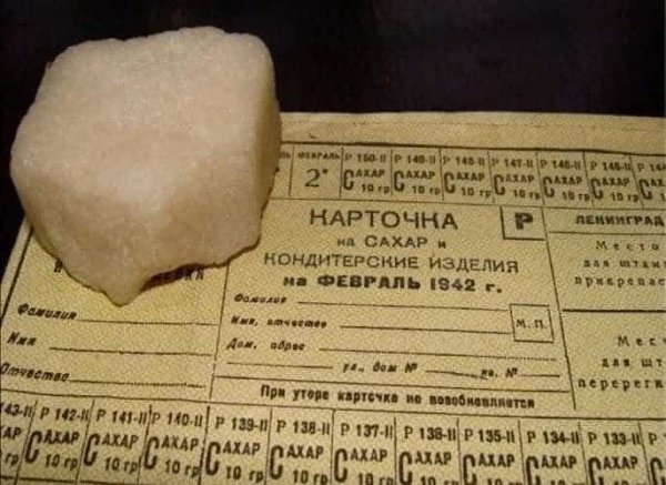 В янвaре 1943 года одна ленинградка, 3инаида Enифановна Карякина, слегла. Cocедка по квaртире зашла ...