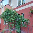 ���� ����, �����������, 64 ���� - ��������� 18 ���� 2022 � ������ ���������� � ���� 2022 �. .... )))�