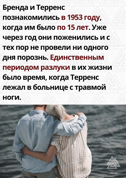  | ,  - 11  2022  10:15 - 2