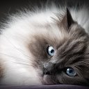 ���� ��������, �����-���������, 50 ��� - ��������� 30 ������ 2023 � ������ ���� ����������