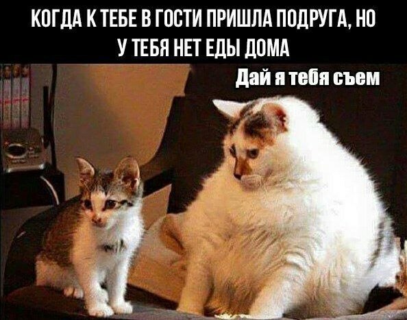    - 11  2023  03:15