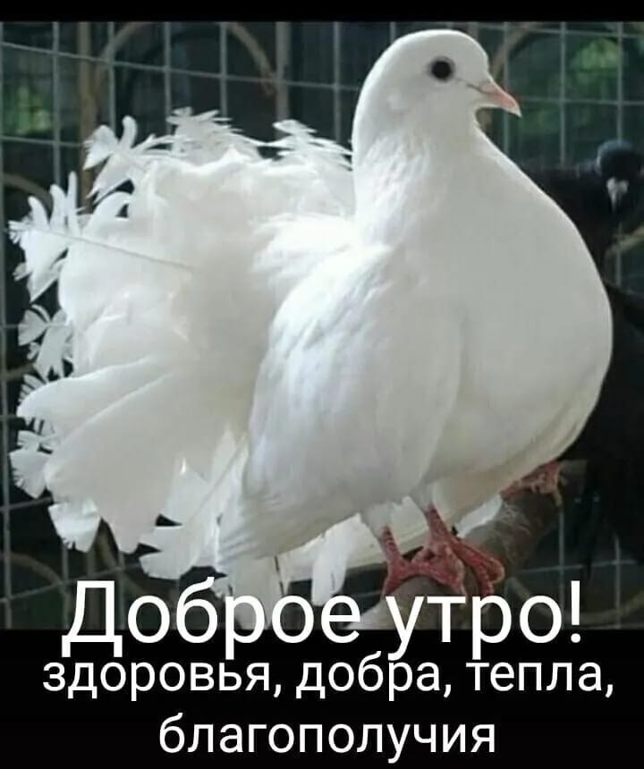 ***Victoria Viktorovna*** - 23  2022  03:35 - 2