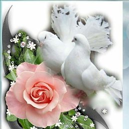 �������, ������