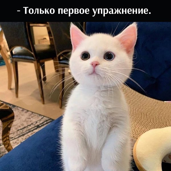       - 22  2022  10:27 - 2
