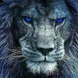 ���, ������, 68 ���