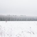 ���� ����, ���������, 39 ��� - ��������� 10 ������� 2023 � ������ ���� ����������