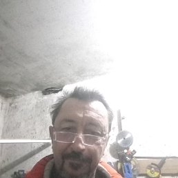 , 57, 