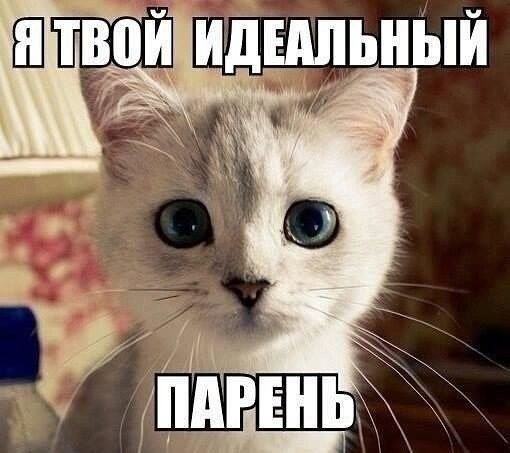    - 24  2022  00:20
