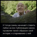 ���� �����, �������, 65 ��� - ��������� 16 ��� 2022 � ������ ���