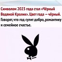 ���� ���������, �������, 48 ��� - ��������� 15 ������ 2023 � ������ ������ ��������