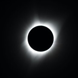 , , 22 