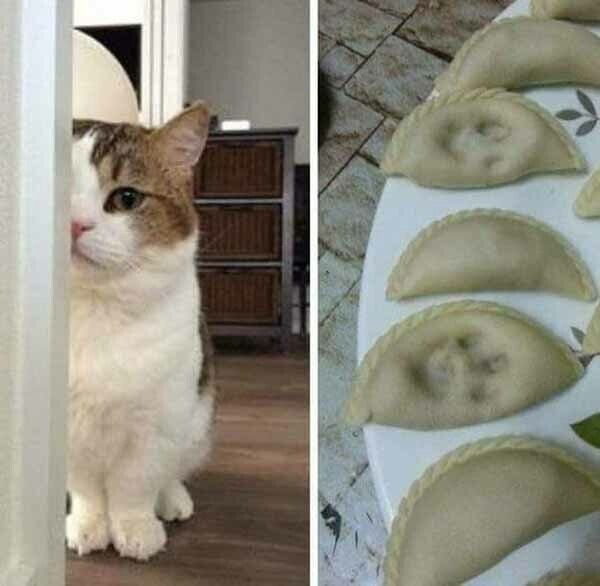  ,   !!!