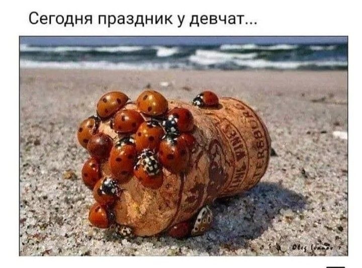   - 19  2023  13:20