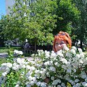 ���� ��������, ������, 61 ��� - ��������� 10 ���� 2022 � ������ ���� ����������