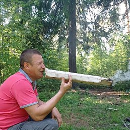 ���������, ������, 43 ����