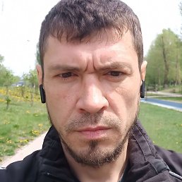 ������, ����-�����������, 39 ���