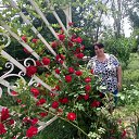 ���� ������, ���������, 50 ��� - ��������� 14 ���� 2022 � ������ ���� ����������