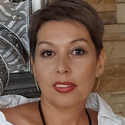 �����, ����-���������, 54 ����