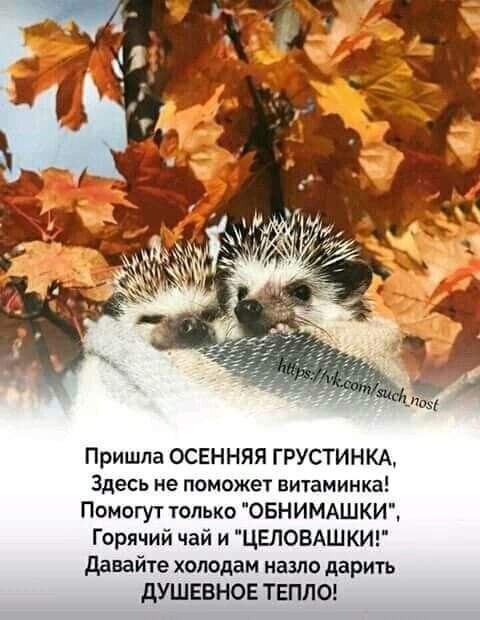  - 17  2022  13:19