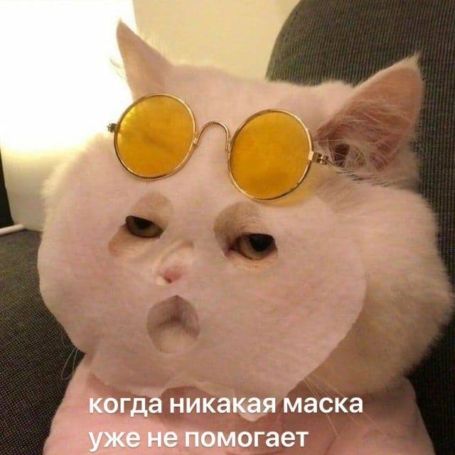 ��� �������� �������� - 25 ������� 2022 � 14:18