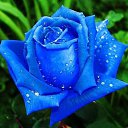 ���� ���������, ����������� - ��������� 26 ����� 2022 � ������ ���� ����������