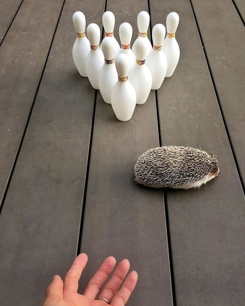 : 