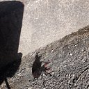 ���� ������, �����������, 46 ��� - ��������� 21 �������� 2022 � ������ ���� ����������