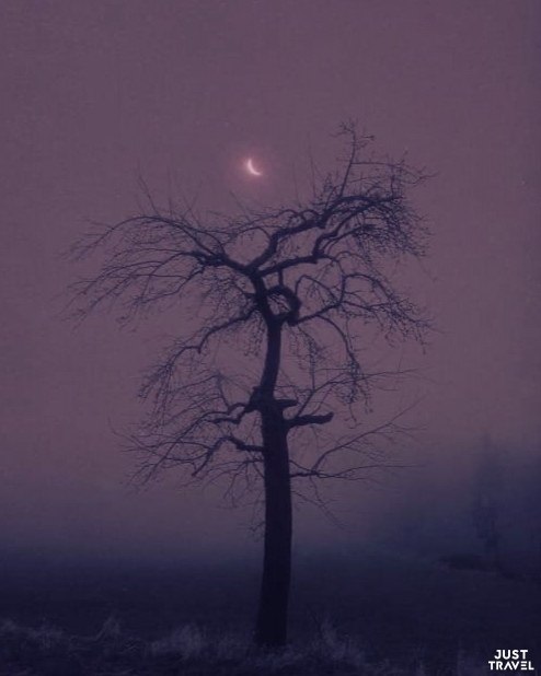 By Nona Limmn.#art #travel #world