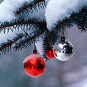 ���� ��������, ����������, 60 ��� - ��������� 4 ���� 2022 � ������ ���� ����������