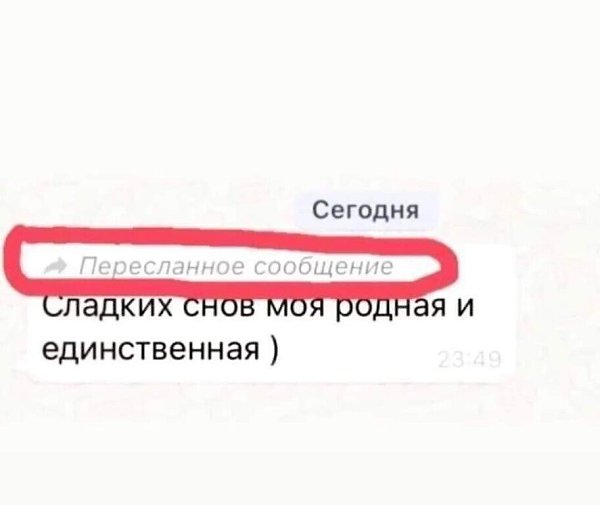 ***Victoria Viktorovna*** - 7  2022  13:42