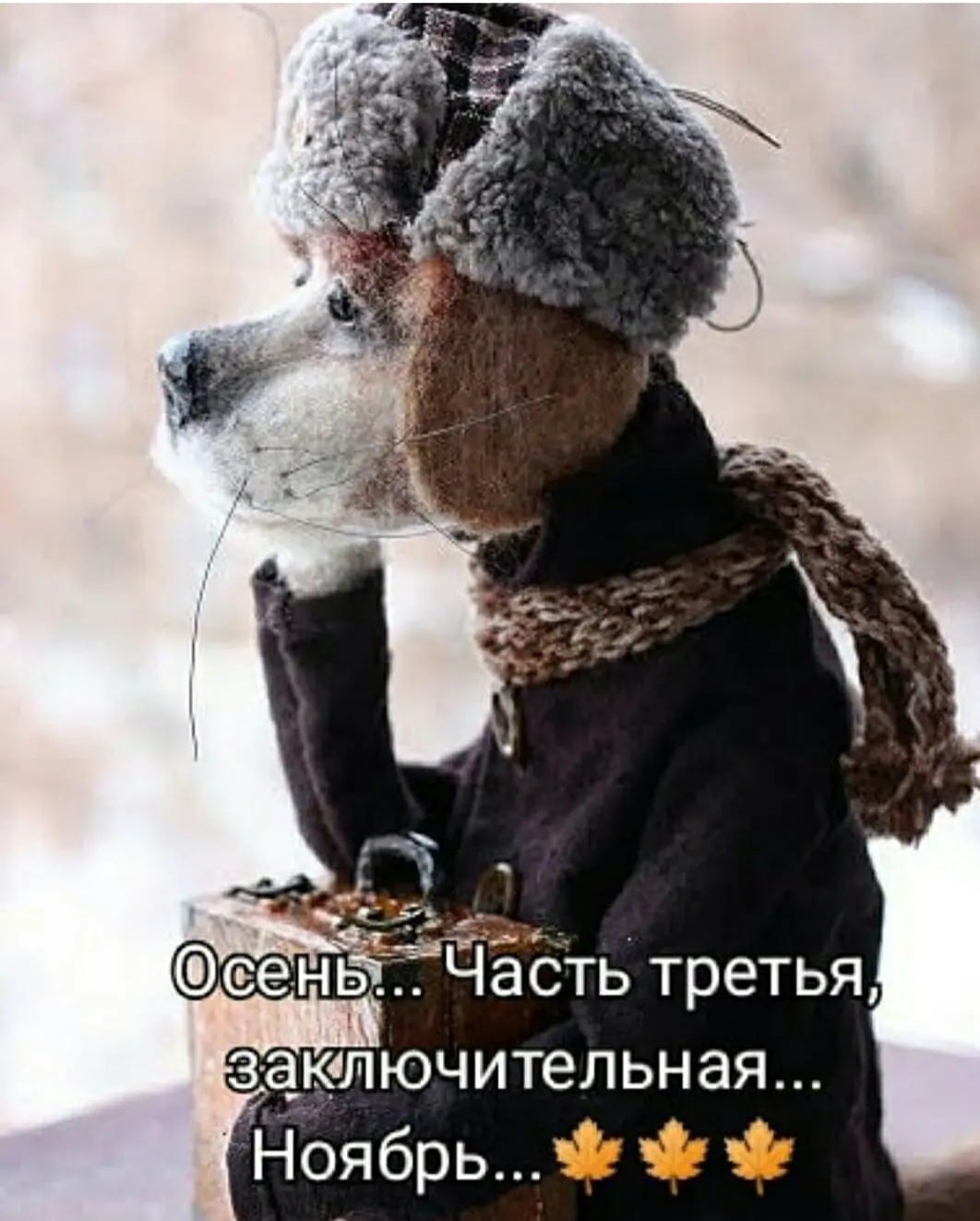  - 14  2022  12:57